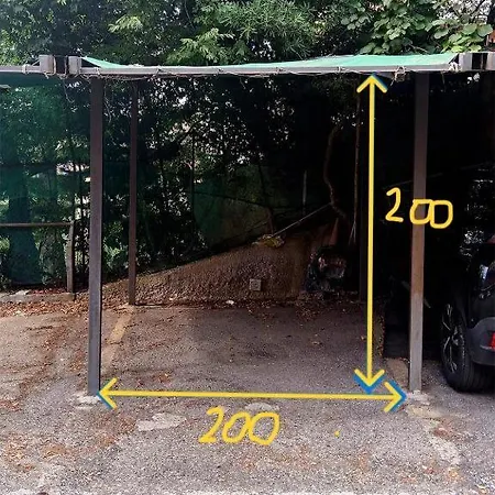 Donny Dude Panorama *