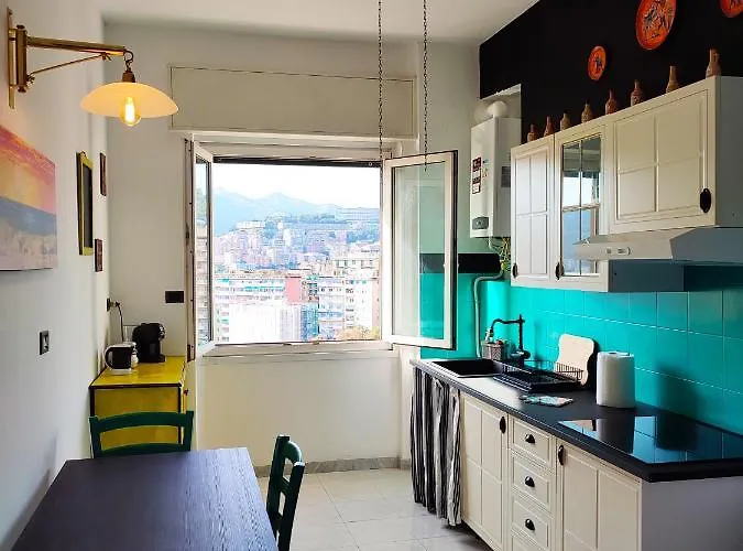 Donny Dude Panorama *