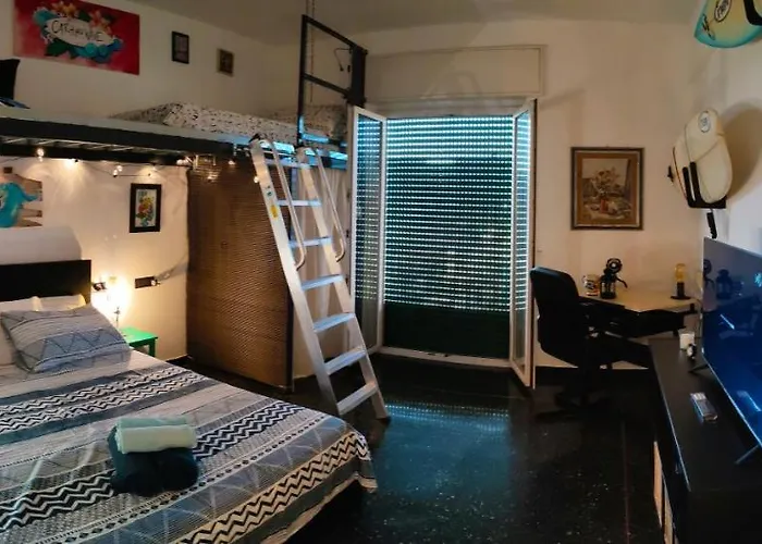 Donny Dude Panorama *