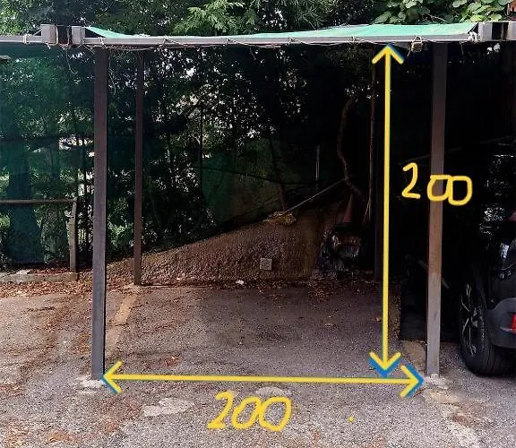 Donny Dude Panorama *