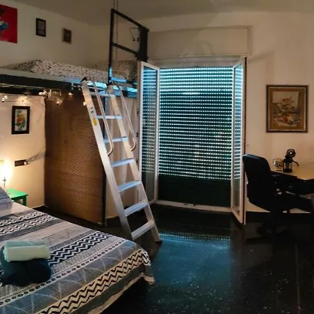 Donny Dude Panorama *